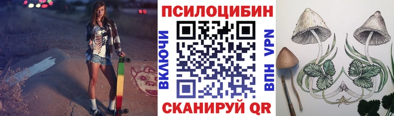Галлюциногенные грибы ЛСД  где купить наркоту  Торопец 